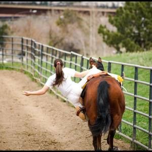 Meet your Posher, Ellie